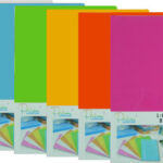 Assorted A4 L-shaped plastic folders