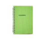 Palette A6 Coloured Paper Spiral Notebook Green